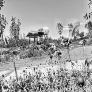 ＂回天地区＂又一大公园开园 面积相当于5个景山公园