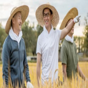 周杰卖大米身价过亿 看到价格网友直呼买不起