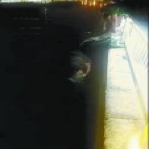 联手救起落水女子 三位老兵好样的！