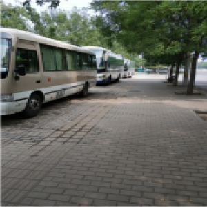 世界公园东门外多辆旅游大巴占便道停车