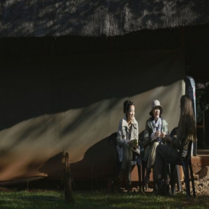 《奇遇人生》首播获赞用心 阿雅小S遭遇大象猎杀