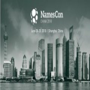 纳点网携中文域名亮相NamesCon 2018国际盛会
