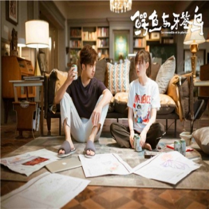 《鳄鱼与牙签鸟》持续热播