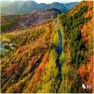 【津云镜头】等你，在蓟州的红叶“疯”了的季节