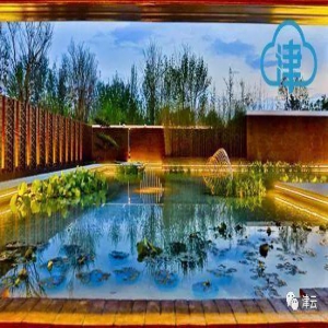 【津云镜头】一入夜，天津园就美成了一副油画