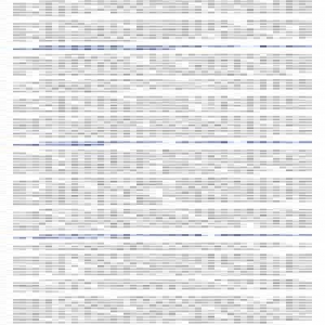 公安部通报“净网2019”典型案例 对网络犯罪坚持高压严打