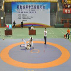 省运会中国式摔跤比赛精彩上演