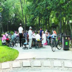 老人扎堆打麻将 街心公园“小赌”该不该管？