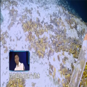 未来或成能源界“王者”？“可燃冰”亮相《加油！向未来3》总决赛