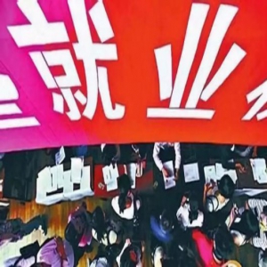 这81个字，关乎每一个河北人的福祉