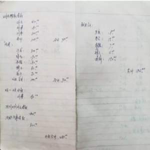 记了几十年流水账，秘密和故事都在里面了