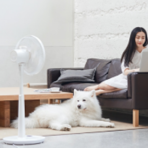 吹自然风的风扇更舒服，网易智造超静音风扇打造新体验