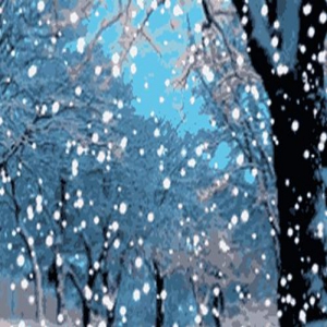 冬季游玩好去处！蓟州这些地方藏着最美的冬天！