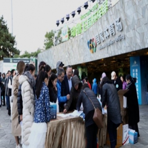 艺优星途亮中华少年艺术风范 与爱童行鸟巢尽展公益巨星风采