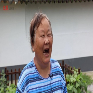 【看长江之变】视频直击 | 金山待泾村“花开海上”，更开在农民的心上