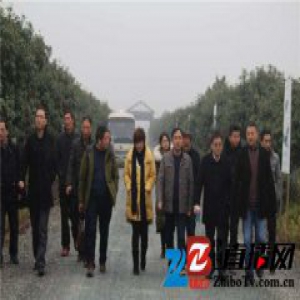 湖南衡南县合力打造泉湖镇万亩田园综合体