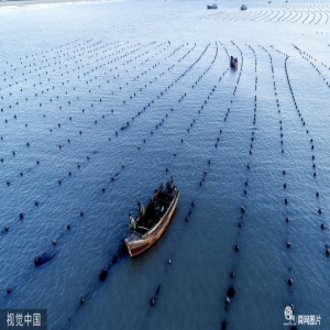 山东威海：初冬时节海景优美 海洋牧