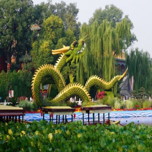 北京：“龙腾盛世”花坛亮相北海公园