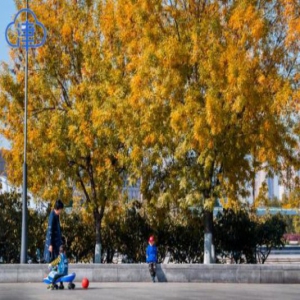 送你秋日信笺 文化中心走一走