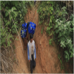 武汉知名导演戴红武执导的凉山《马帮》受关注