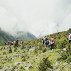 陈坤行走的力量行走川藏