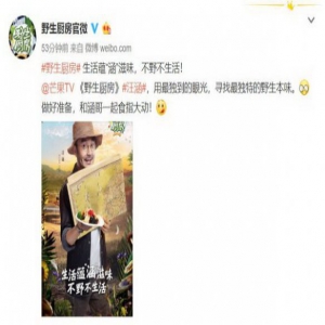 汪涵模仿何炅《野生厨房》battle《向往的生活》