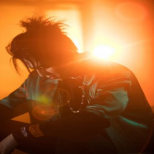 符龙飞新专自御系主打《蜘蛛》