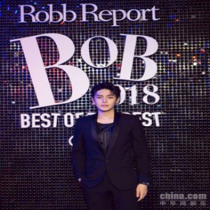 侯明昊出席罗博之选新媒体艺术盛典