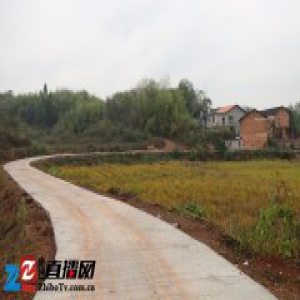 湖南衡南：凝聚合力修富路，打通台上组“最后一公里”