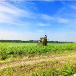 中城银信：鼓励农民就业创业，拓宽增收渠道