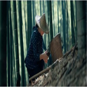 进博会最新宣传片《40年，中国与世界》