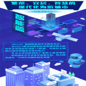 繁荣、宜居、智慧的现代化海滨城市（智能篇）