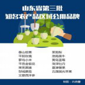 有你家乡特产吗？山东第三批知名农产品区域公用品牌亮相