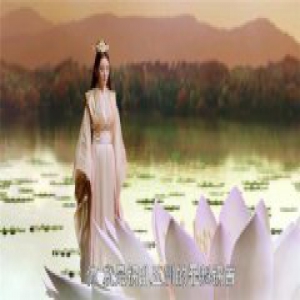 师尊掐掉无极的六尘花 召唤了扶摇告知残忍真相