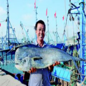 休渔四个月大海又沸腾 开海第一天市民来抢鲜