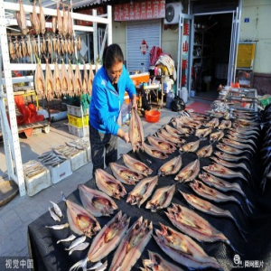 山东青岛：金秋时节 鱼干晾晒正当时