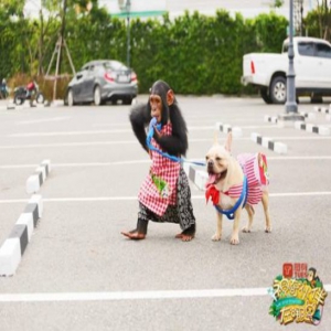 “神奇伙伴”工作初体验 米亚冬冬“玩转”新职场