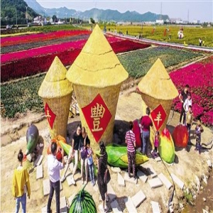 奋斗，让梦想照进现实 来看这四个人的故事