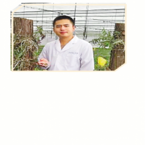 陈世豪：美丽乡村机遇无限