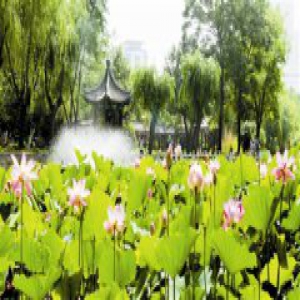 市容园林部门提升改造城市公园绿化初见成效