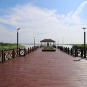 【风从海上来 改革进行时】守护“京津绿肺” 让“北国江南”美如画