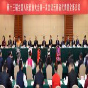 郭声琨参加云南代表团审议