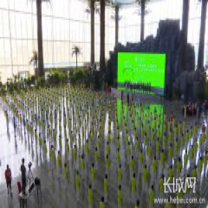 第二届“以岭杯”中华通络操公益大赛在石家庄举行