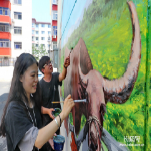 裸眼3D墙体彩绘助力秦皇岛老旧小区改造