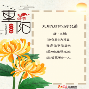 重阳节诗节丨岁岁重阳 今又重阳