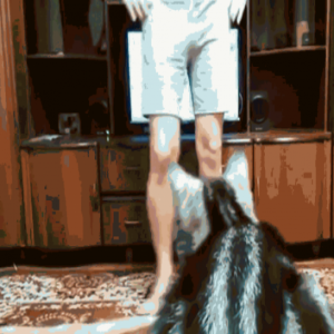 “喵系晚会”天猫双11狂欢夜舞台曝光 这是什么神仙舞台？