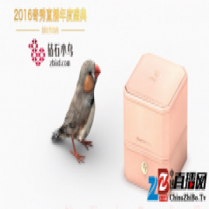 奇秀直播钻石小鸟合作升级 开启极光女神选拔赛