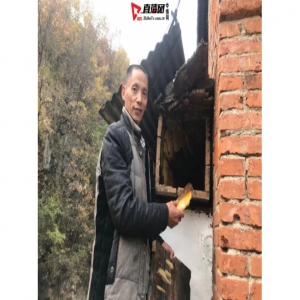 西峡县桑坪镇牛毛坪村马登朝战胜困难去脱贫