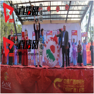 500余名知青欢聚大明山 载歌载舞忆青春