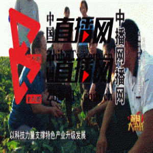 关枫为红薯代言 《脱贫大决战》助力红里红薯交出漂亮答卷